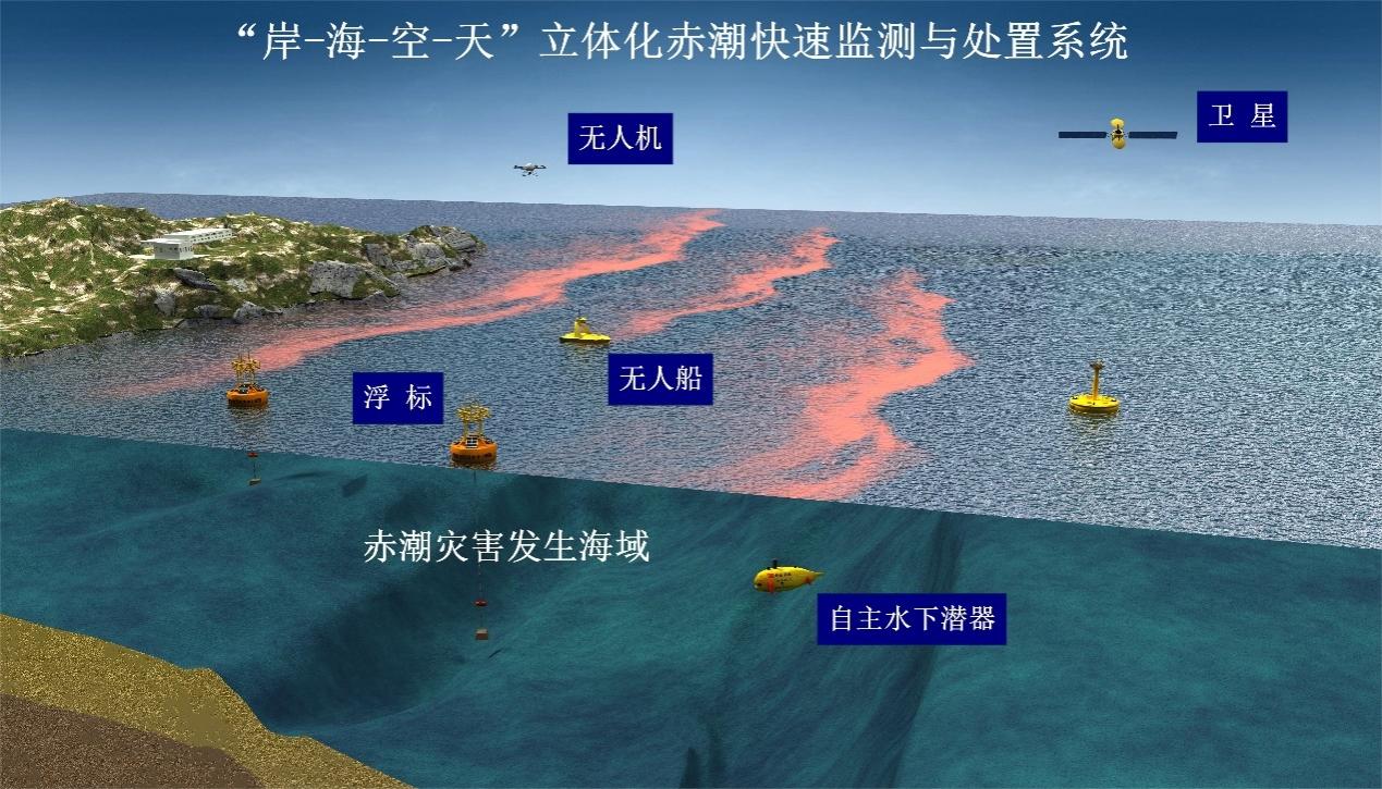 智能与海洋融合：新一代冲浪板引领潮流