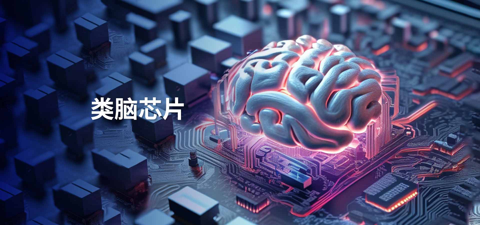 探索类脑智能：构建人机共生的智慧新时代